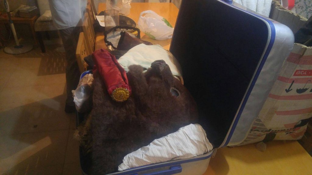 הציוד ארוז ומוכן למופע הבין לאומי והופעה בחוץ לארץ