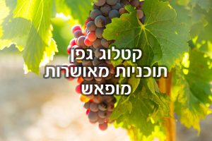 תוכניות מופאש מאושרות בקטלוג גפן תוכנית גפן משרד החינוך